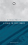 A Hole in the Fence by David Foley - Paperback