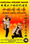Shaolin Qing Long Quan - Advanced Martial Applications : 16 by Bernd Hoehle - Paperback