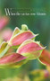 When the Cactus Rose Blooms by Val Villarreal Jr - Paperback
