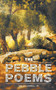 The Pebble Poems by Val Villarreal Jr - Paperback