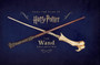 Harry Potter : The Wand Collection by Titan Books - Hardback