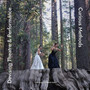 Devising Theatre and Performance : Curious Methods by Leslie Hill - Paperback