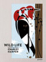 The Wild Life : The Life and Work of Charley Harper by gestalten - Hardback
