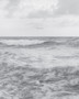 Barbara Bosworth: The Sea by Barbara Bosworth - Hardback
