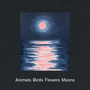 Ann Craven: Animals, Birds, Flowers, Moons by Ann Craven - Hardback