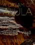 A Dream of Alula by Gilles???? Bensimon - Hardback