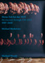 Michael Wesely and Michael Biedowicz : My Journey through DIE ZEIT 1997???2020 by Michael Wesely - Paperback
