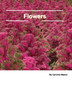 Flowers 20x25 by Carolina Mazon - Paperback