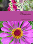 Bloomers by Marietta Loehrlein - Paperback
