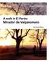 A walk in El Pardo : Mirador de Valpalomero: Near Madrid by Carolina Mazon - Paperback