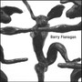 Barry Flanagan by Barry Flanagan - Hardback