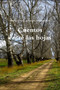 Cuentos entre las hojas by Maria Elena Larrayoz Aristeguieta - Paperback