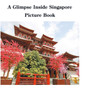 A Glimpse Inside Singapore Picture Book by David Sechovicz - Hardback