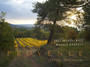 Provence : Lasting Impressions by Maggie Barrett - Hardback