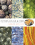 Pattern, Colour & Form : creative approaches by artists by Carolyn Genders - Hardback