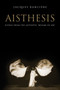 Aisthesis : Scenes from the Aesthetic Regime of Art by Jacques Ranciere - Hardback