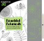 Scratch & Create: Scratch and Draw Botanicals : Use the easy-to-follow drawings to make your own beautiful artwork! by Zoe Ingram - Paperback