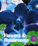 Flowers & Mushrooms by Toni Stooss - Hardback