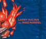 Larry Sultan and Mike Mandel by Larry Sultan - Hardback