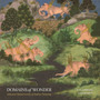 Domains of Wonder : Selected Masterworks of Indian Painting by B.N. Goswamy - Paperback