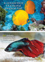 A Collection of Colorful Tropical Fish - 100 Artistic Pictures of Water Animals - Full Color HD : Professional Photo Album - The Best Animal Pictures And Art Images Ideas - Rigid Cover Version - Engli by Best Fine Art Photography Books - Hardback