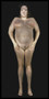 Gary Schneider: Nudes (signed edition) by Gary Schneider - Hardback