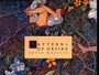 Patterns of Desire by Joyce Kozloff - Paperback
