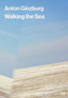 Anton Ginzburg : Walking the Sea by Melanie Marino - Hardback