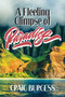 A Fleeting Glimpse of Paradise by Craig Burgess - Paperback