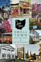 Little Ohio : Small-Town Destinations