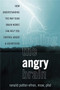 Healing the Angry Brain : How Understanding the Way Your Brain Works Can Help You Control Anger and Aggression