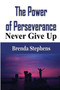 The Power of Perseverance : Never Give Up