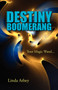 Destiny Boomerang : Your Magic Wand...