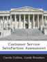 Customer Service Satisfaction Assessment