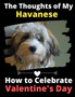 The Thoughts of My Havanese : How to Celebrate Valentine's Day by Brightview Activity Books - Paperback