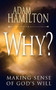 Why? : Making Sense of God's Will