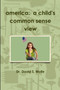 America: A Child's Common Sense View by David Wolfe - Paperback