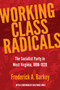 Working Class Radicals : The Socialist Party in West Virginia, 1898-1920