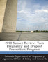 2010 Sunset Review, Teen Pregnancy and Dropout Prevention Program