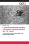 Las comunidades locales y la micro cuenca hidrica del rio Irquis by Bigverto Arevalo - Paperback