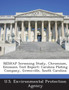 Neshap Screening Study, Chromium, Emission Test Report : Carolina Plating Company, Greenville, South Carolina