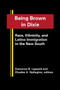 Being Brown in Dixie : Race, Ethnicity and Latino Immigration in the New South