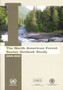 The North American forest sector outlook study : 2006-2030 : 29