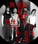 Red Hot Chili Peppers Treasures by Gillian G. Gaar - Hardback