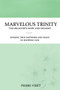 Marvelous Trinity, the Believer's Hope and Delight : Finding true happiness and peace in knowing God