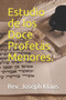 Estudio de los Doce Profetas Menores.
