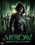 Arrow: Heroes and Villains by Nick Aires - Paperback