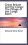 Great Britain and the Congo : The Pillage of the Congo Basin
