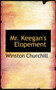 Mr. Keegan's Elopement