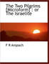 The Two Pilgrims [Microform] : Or the Israelite